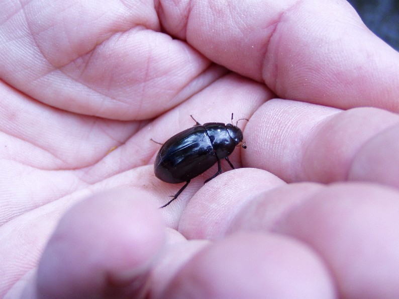 Valle del Farma e Stagno della Troscia: luoghi meravigliosi!